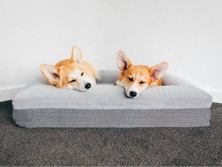 Mattress Topper 2